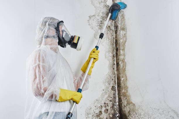 24/7 water damage repair