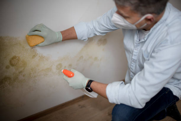 Water damage restoration mold remediation in Joshua, TX